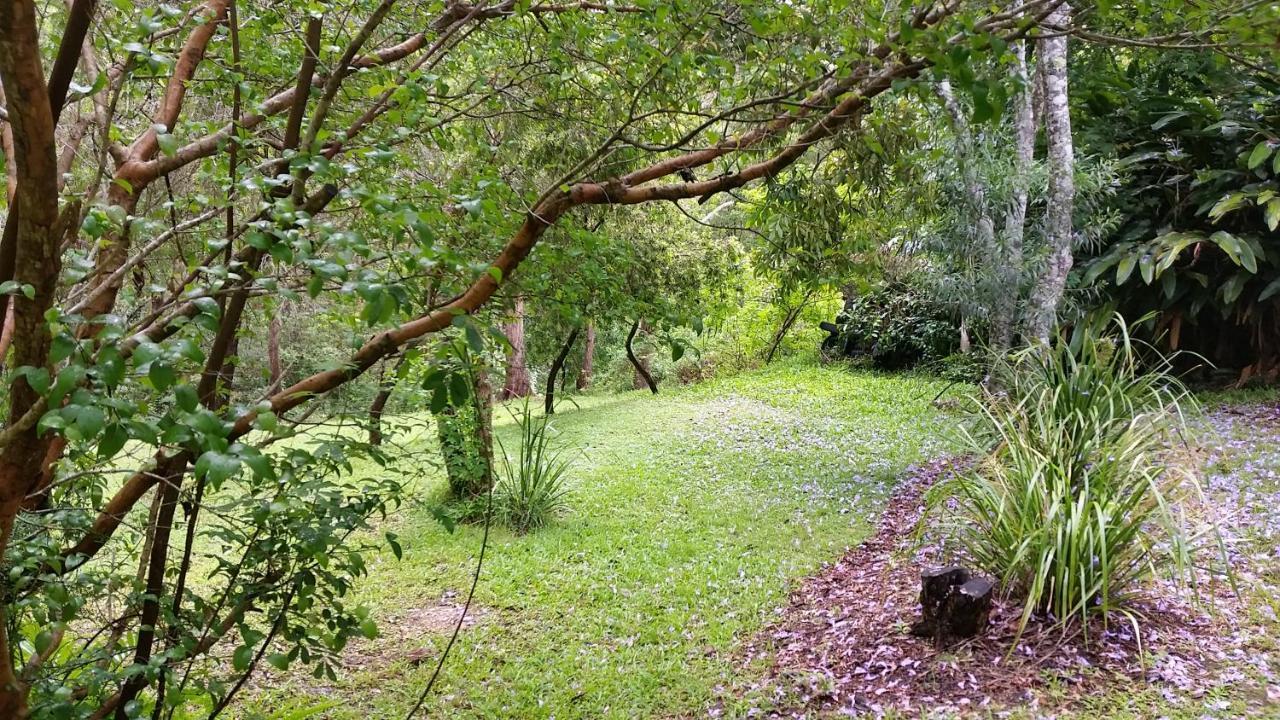 Forest View Bungalow Nambucca Heads Exterior photo